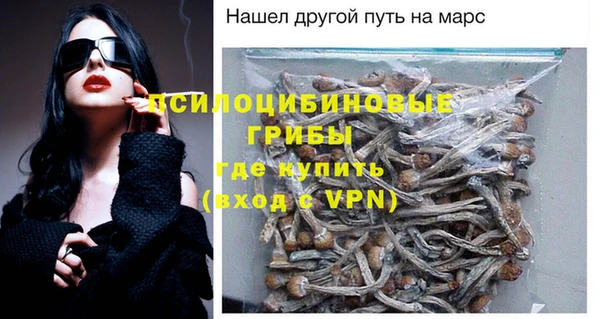 скорость Пестово