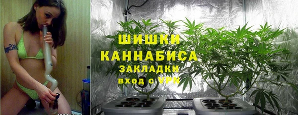 амф Арсеньев