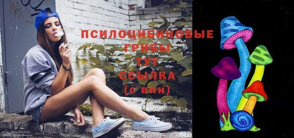 эйфоретик Аркадак