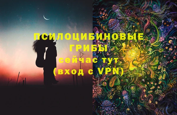 эйфоретик Аркадак